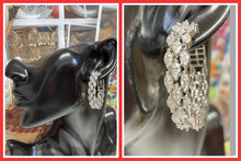 Load image into Gallery viewer, Hoop earings 608