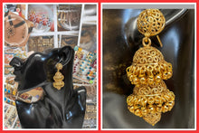 Load image into Gallery viewer, Earings/75