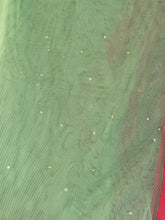 Load image into Gallery viewer, Duppatta 28’x 88’ no 1250