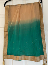Load image into Gallery viewer, Duppatta 20’x 84’ no 1248