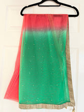 Load image into Gallery viewer, Duppatta 27’x 96’ no 1245