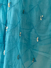 Load image into Gallery viewer, Chiffon duppatta 1455
