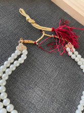 Load image into Gallery viewer, costume necklace  4061