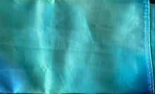 Load image into Gallery viewer, Orgenza saree 4070