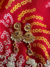 Load image into Gallery viewer, Indian jewellery set 6112