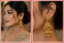 Load image into Gallery viewer, Earings/75